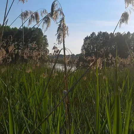 Spokoje