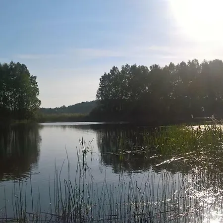 Spokoje Zalesie (Gmina Lidzbark)