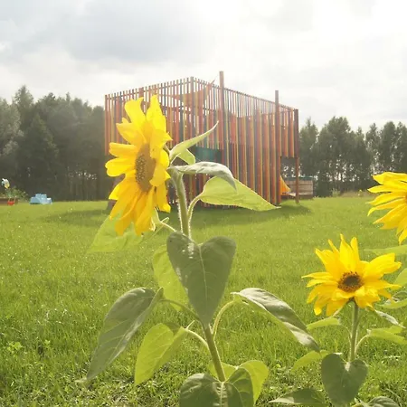 Spokoje Zalesie (Gmina Lidzbark)